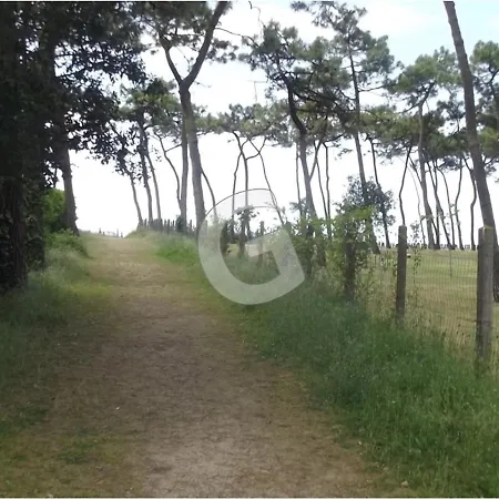 Apartment Sur : Pavillon T2, Piscine, Proche - Fr-1-194-391 La Tranche-sur-Mer